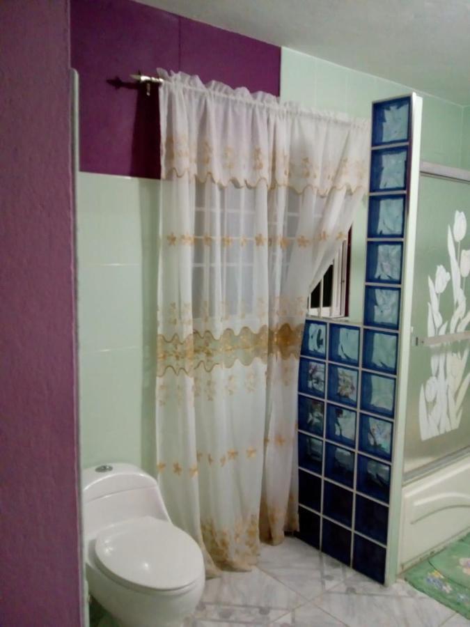 Dmeechi Appartement Kingston Buitenkant foto