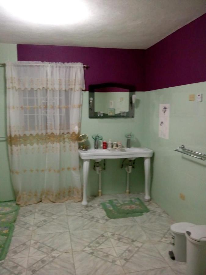 Dmeechi Appartement Kingston Buitenkant foto